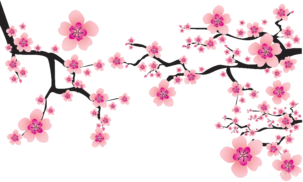 元素素材 樱花