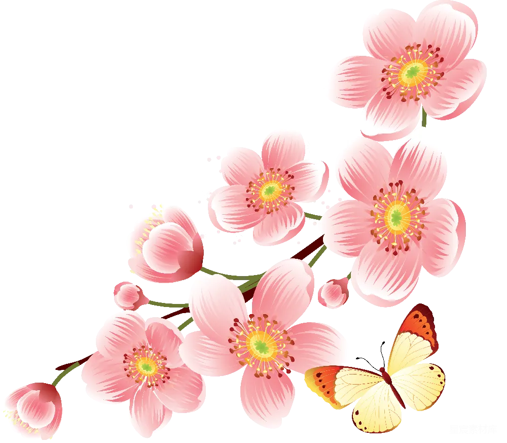 元素素材 PNG