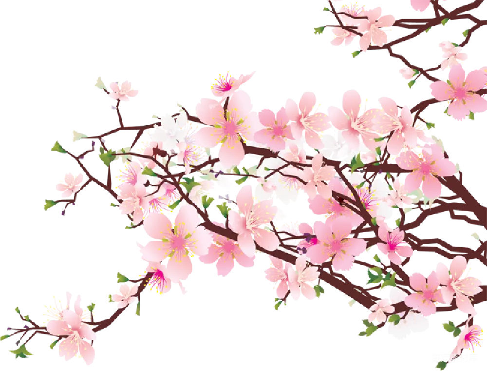 元素素材 元素 樱花