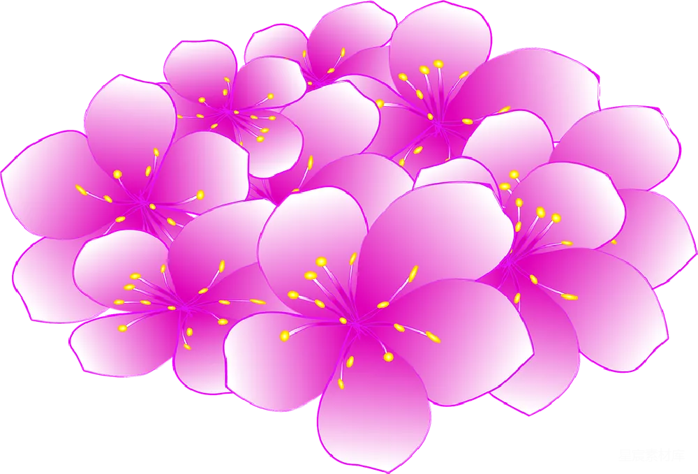 元素素材 元素 樱花