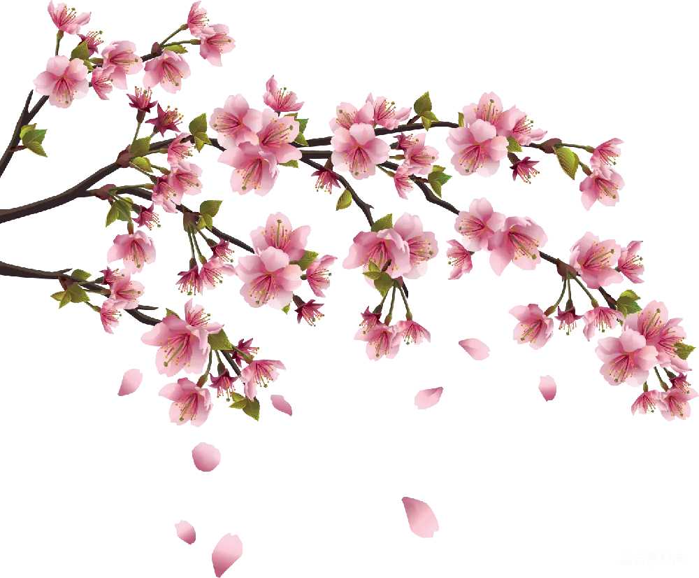 元素素材 元素 樱花