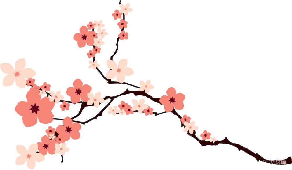元素素材 樱花 插画风格 春季背景 盛开的樱花枝条