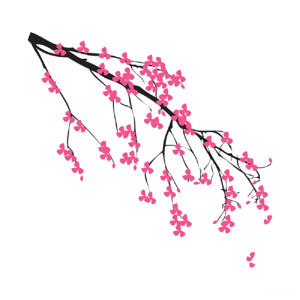 元素素材 樱