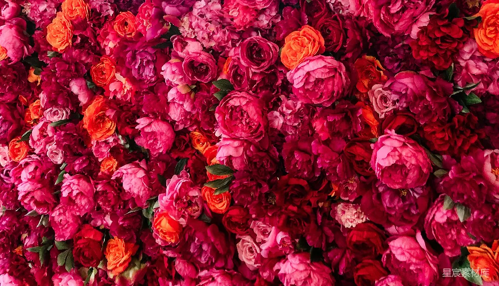 高清摄影 花卉 花墙 婚礼背景 节日装饰 鲜艳 粉红和红色玫瑰花束