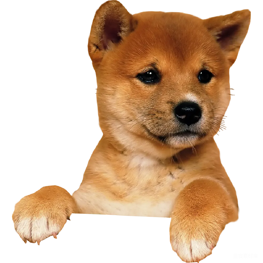 元素素材 狗