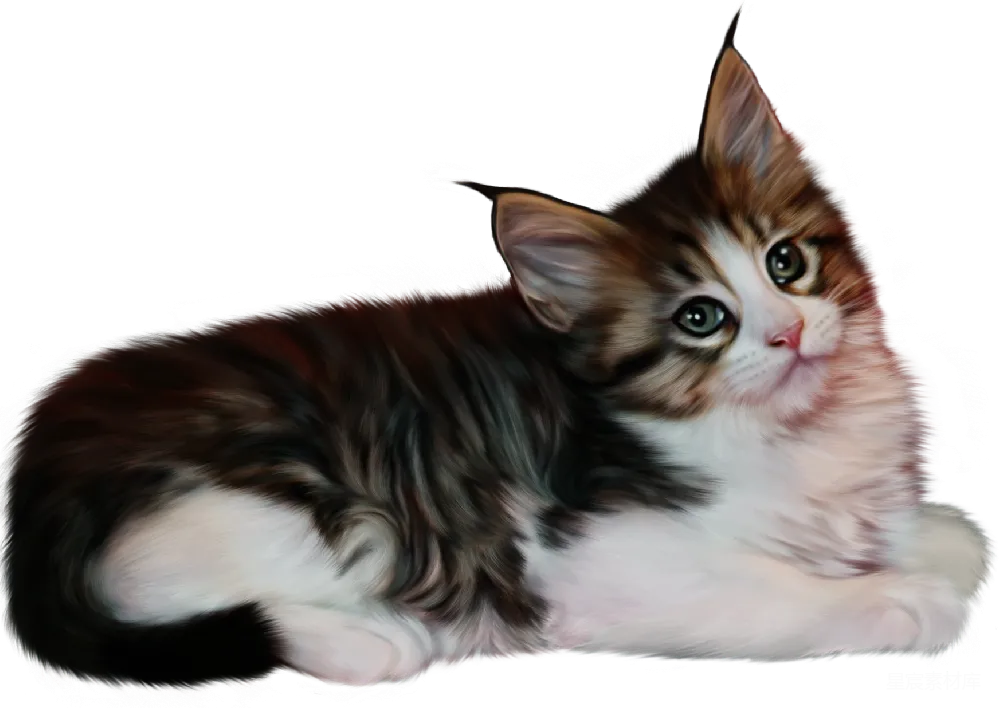 元素素材 元素 猫