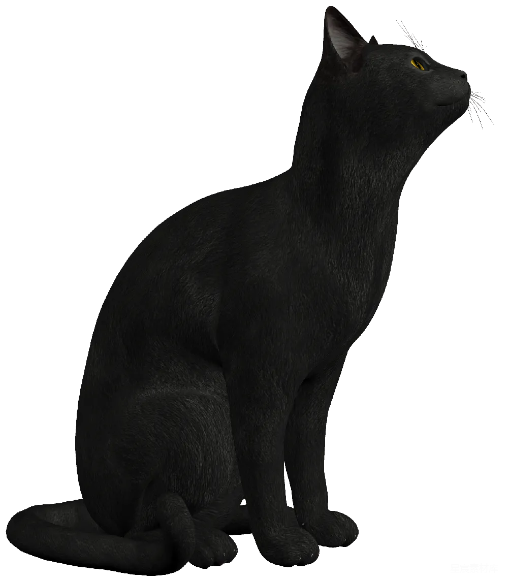 元素素材 猫 动物 艺术 黑色猫的侧面轮廓