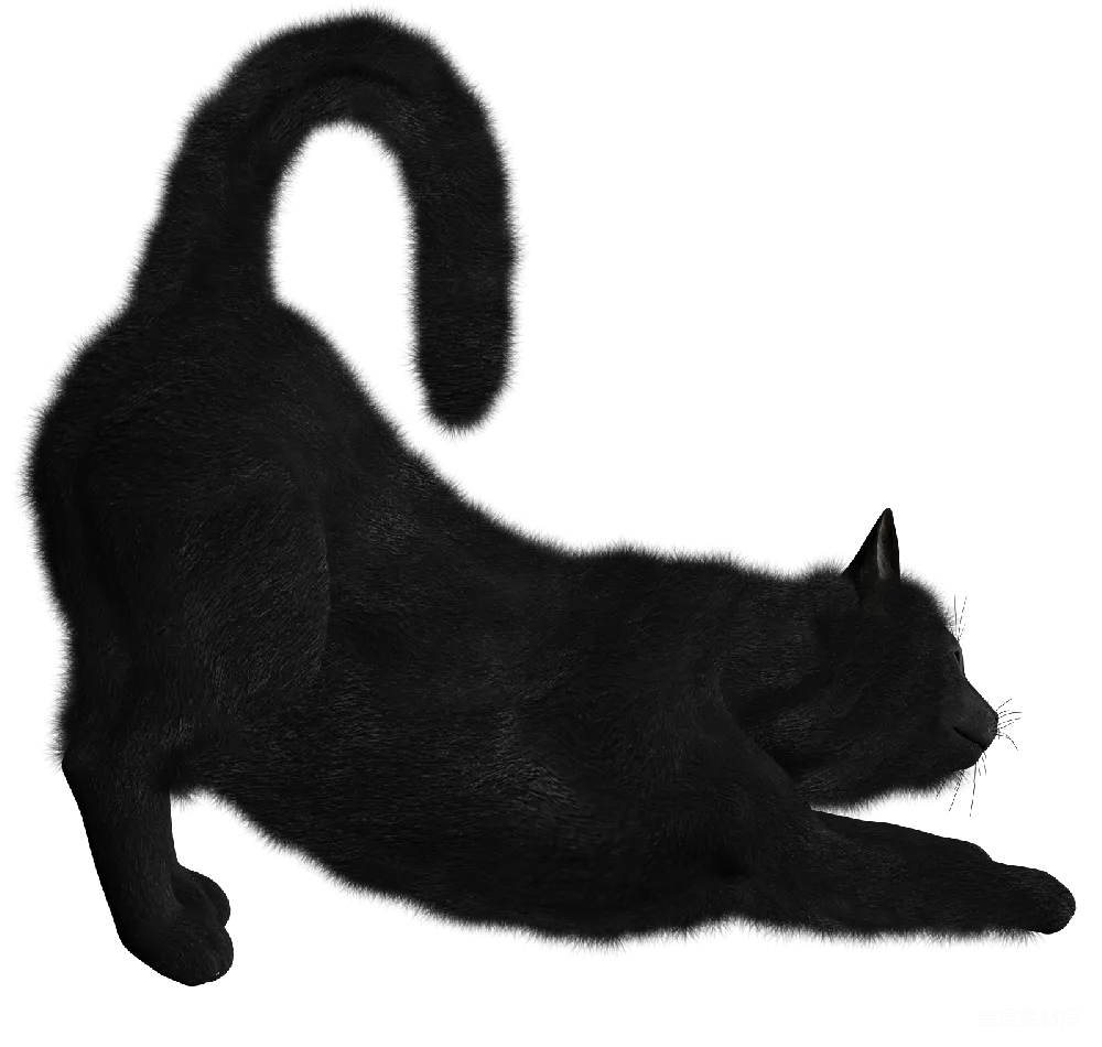 元素素材 黑色猫的剪影