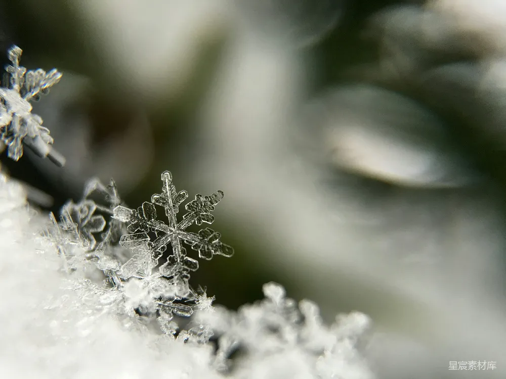 高清摄影 自然 聚焦摄影雪花