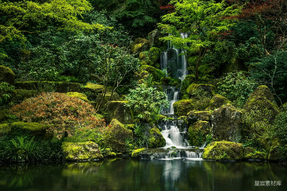 高清摄影 自然 壁纸 岩石瀑布附近的绿色苔藓