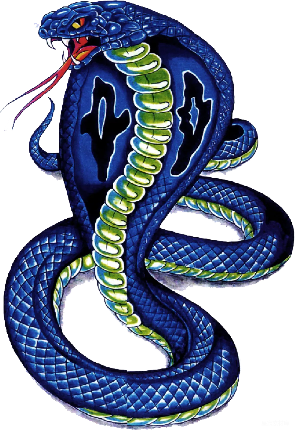 元素素材 元素 cob大 Cobra