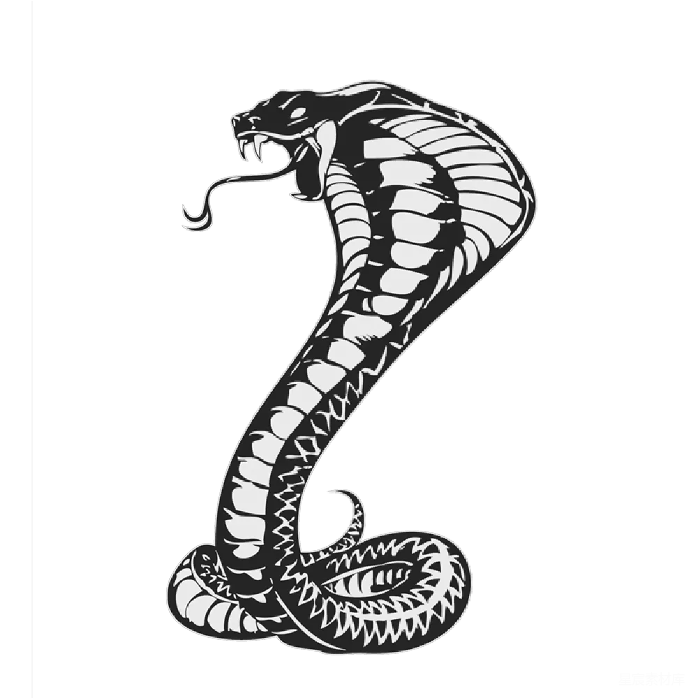 元素素材 蛇纹身 黑白插画 纹身图案 黑底白蛇纹身设计