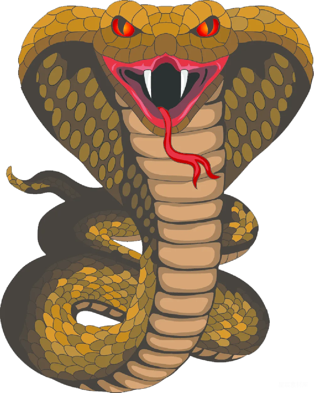 元素素材 元素 cobra