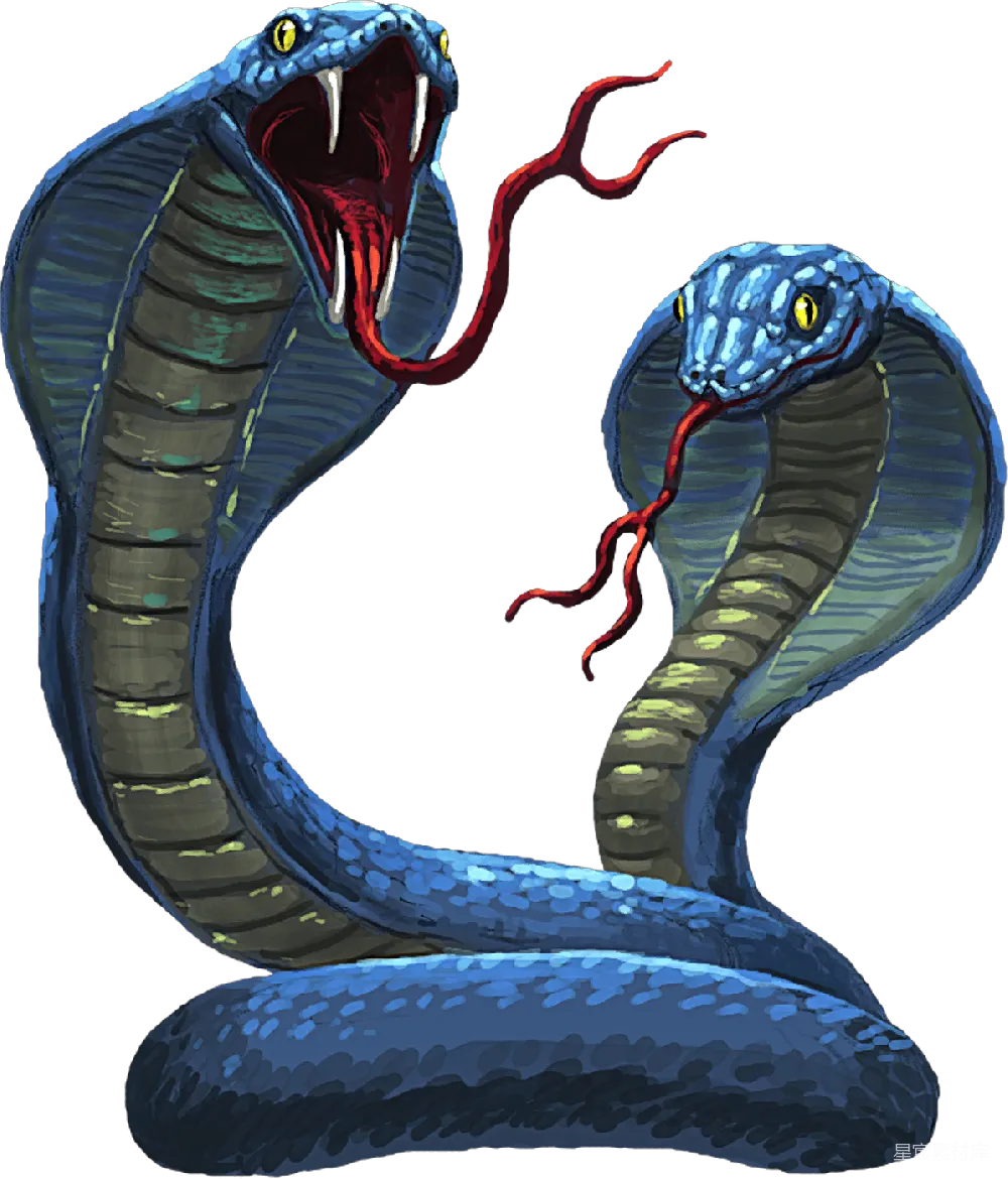元素素材 cob大 Cobra