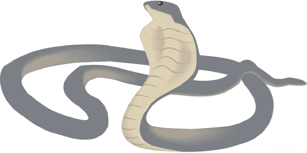 元素素材 元素 cobra