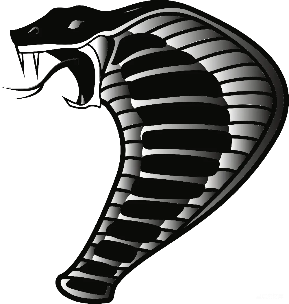 元素素材 元素 cobra
