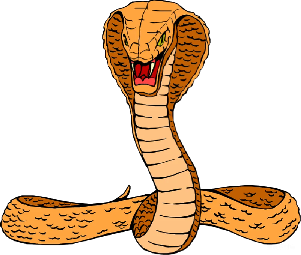 元素素材 元素 cobra