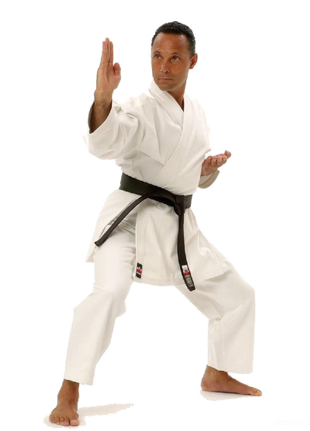 元素素材 武术 咏春拳 道服 身穿道服的武者练习咏春拳