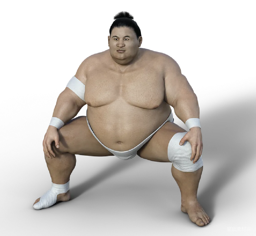 元素素材 相扑