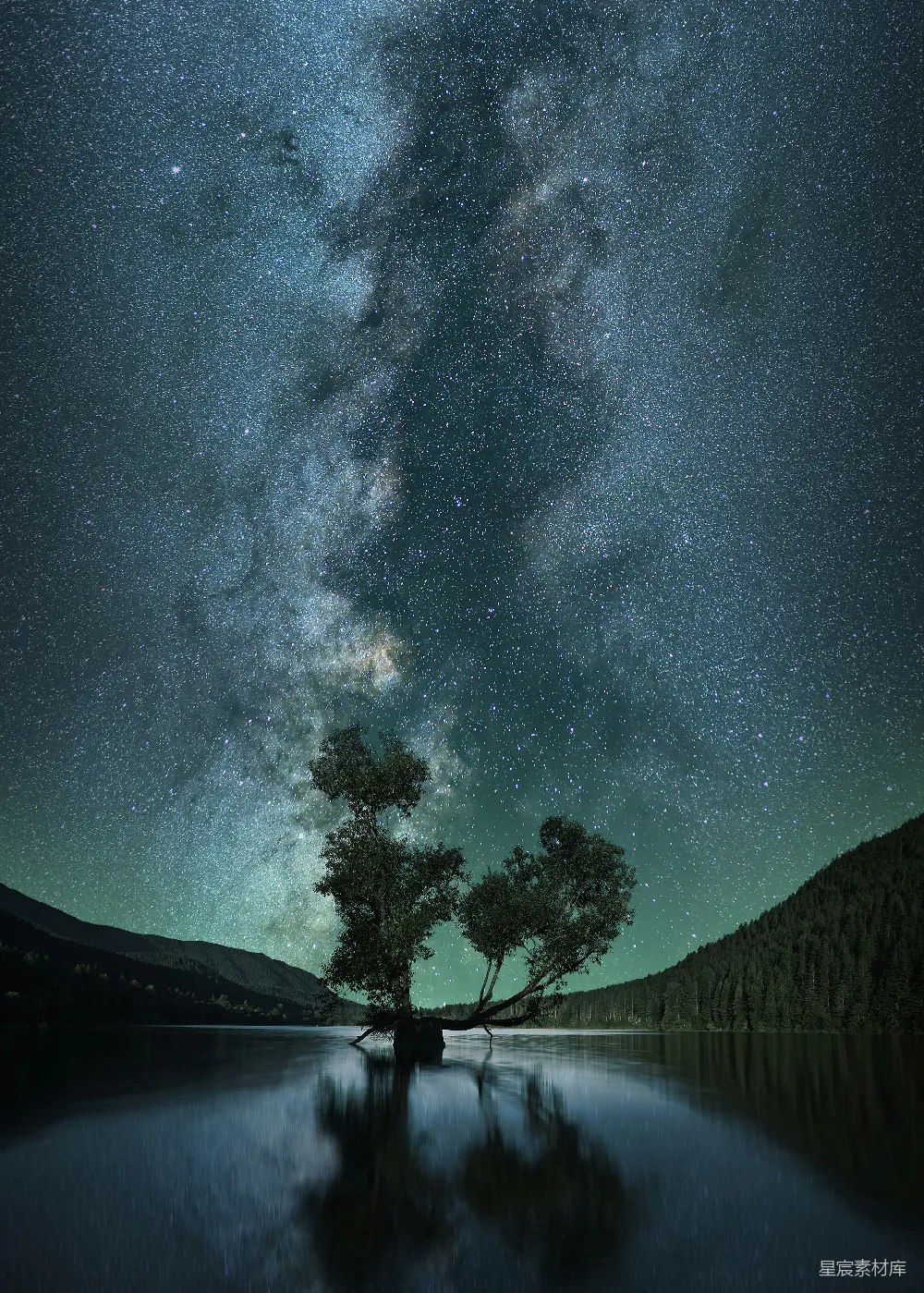 高清摄影 自然 壁纸 绿叶树木浮在星光下的水体上