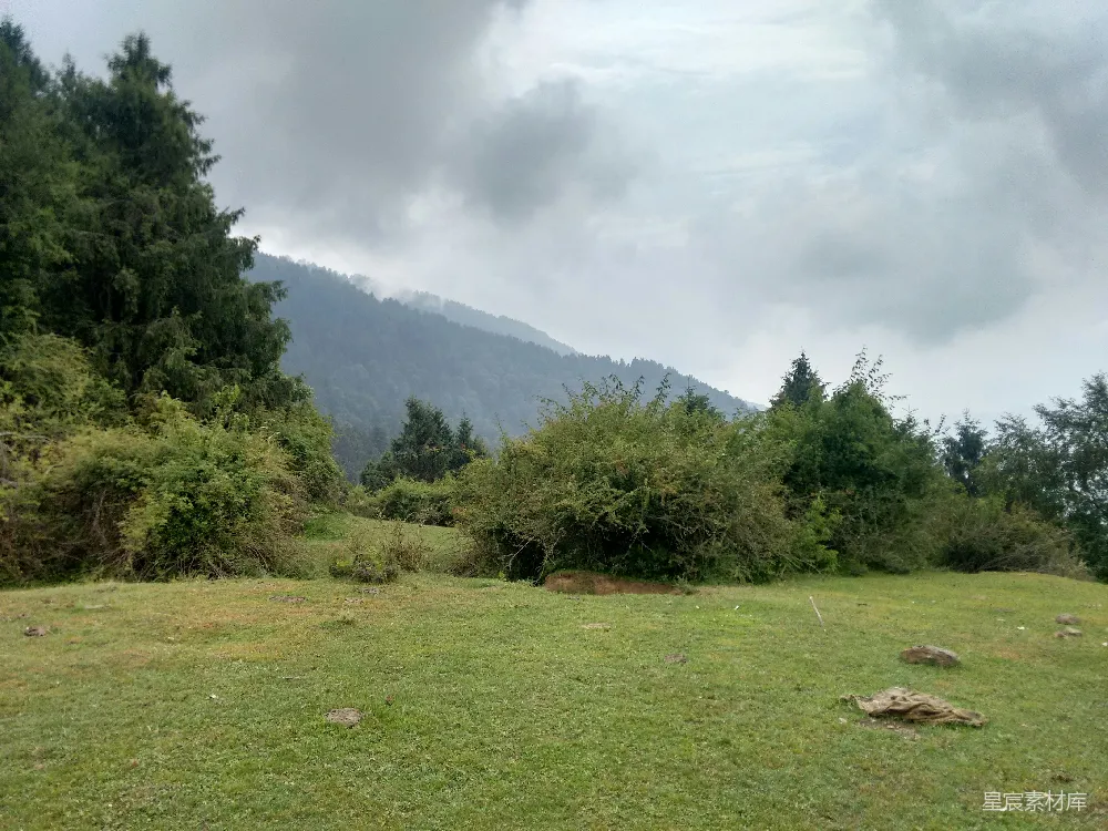 高清摄影  背景中有树和一座山的田野