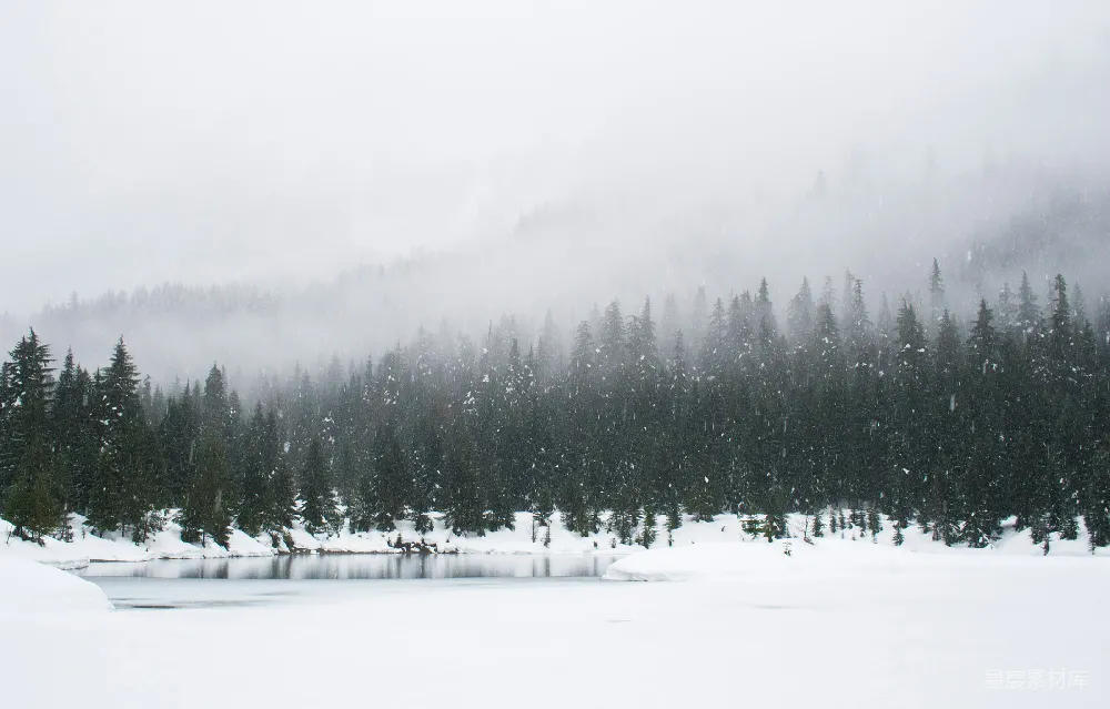 高清摄影 自然 白天雪地与绿松树的景象