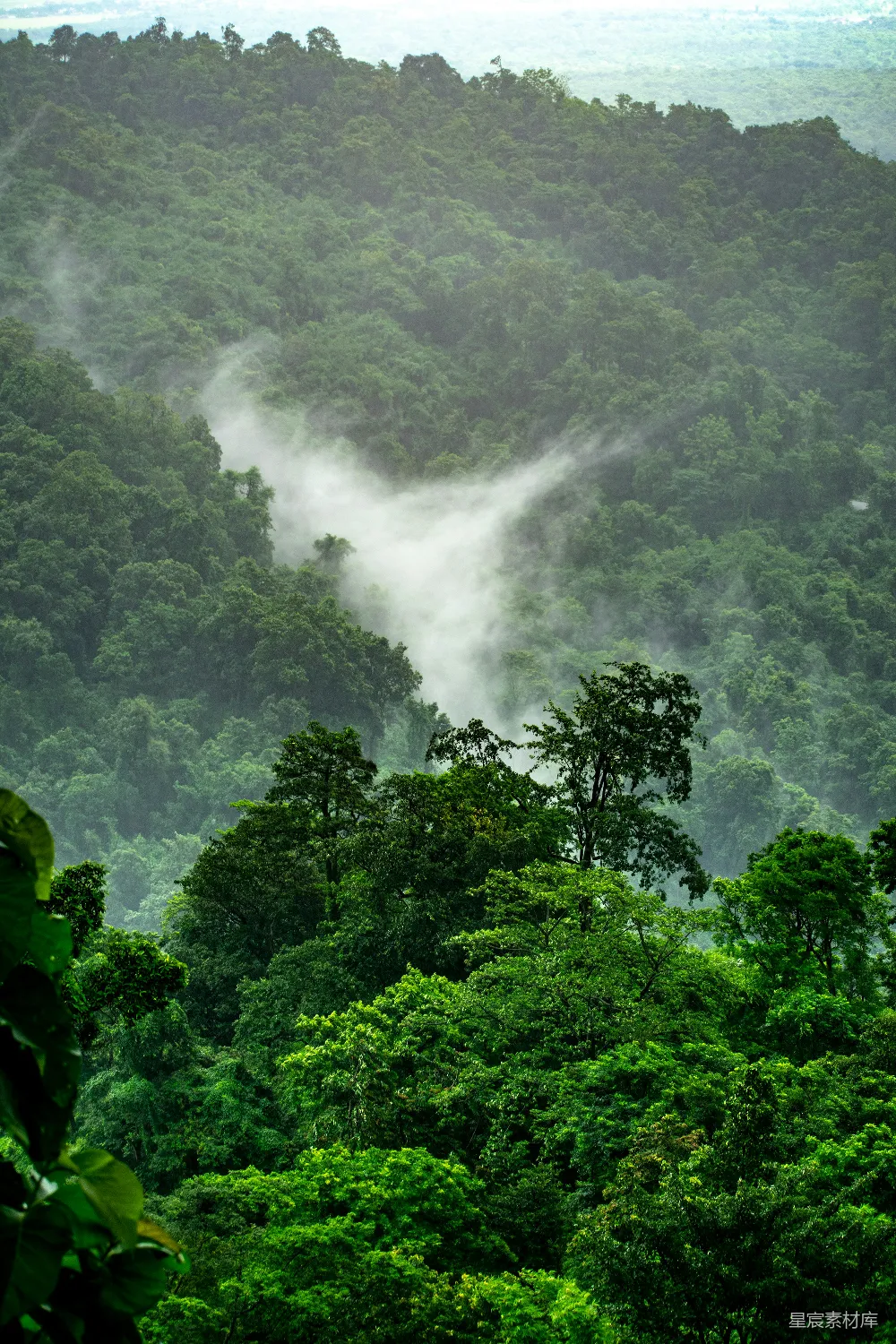 高清摄影  山间树木的风景照片