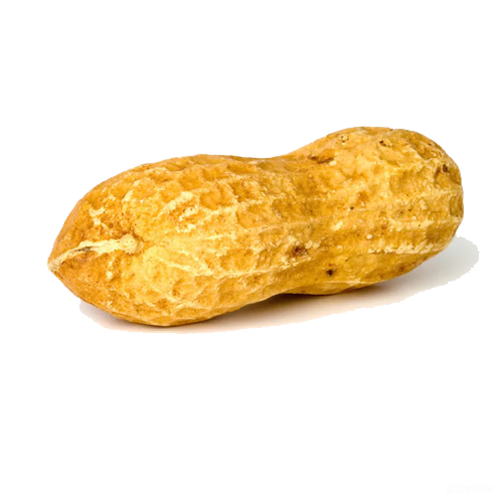 元素素材 食品 自然 健康 花生