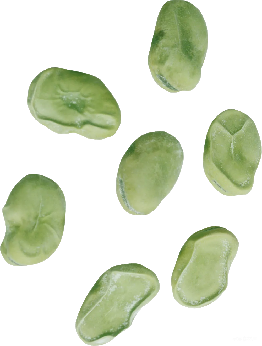 元素素材 肾脏