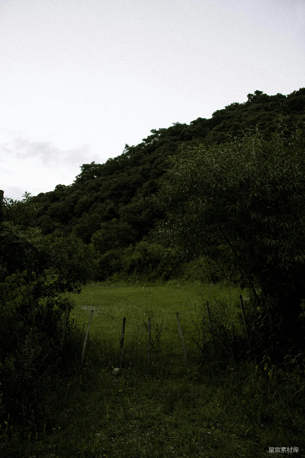 高清摄影  前景中有一道篱笆的草地小山