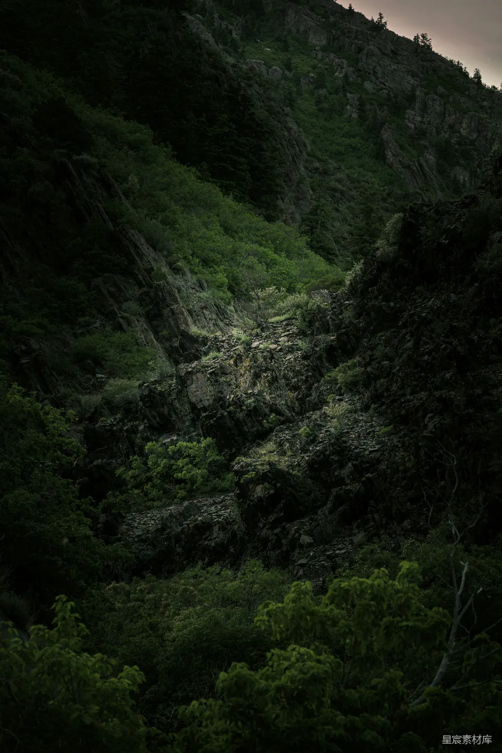 高清摄影 自然 山间白天绿树