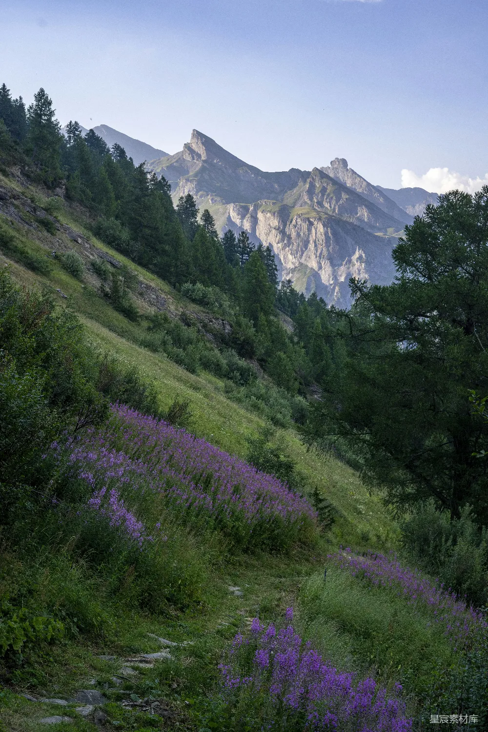 高清摄影  背景中有草地、树木和山峰的区域