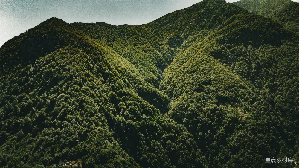 高清摄影  山顶有一片绿树环绕的山峰