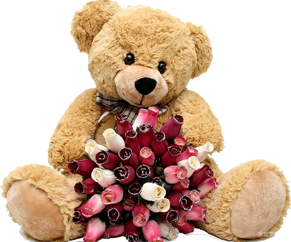 元素素材 元素 泰迪