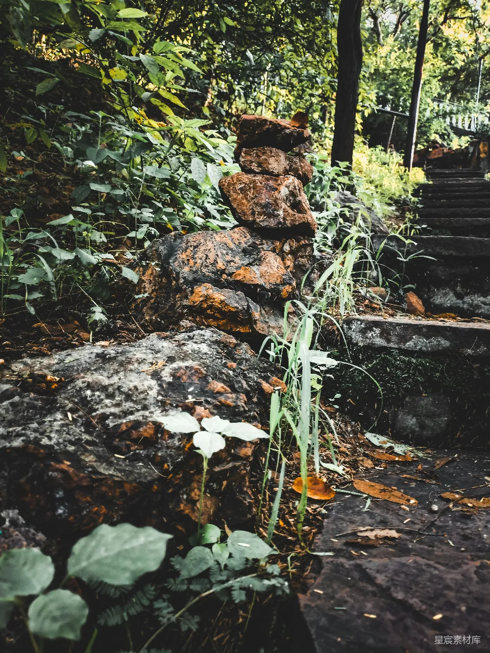 高清摄影  路边一堆石头