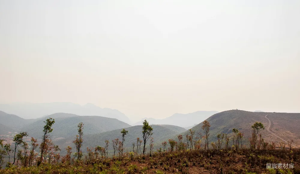 高清摄影 山峦与树木在背景中的风景概览
