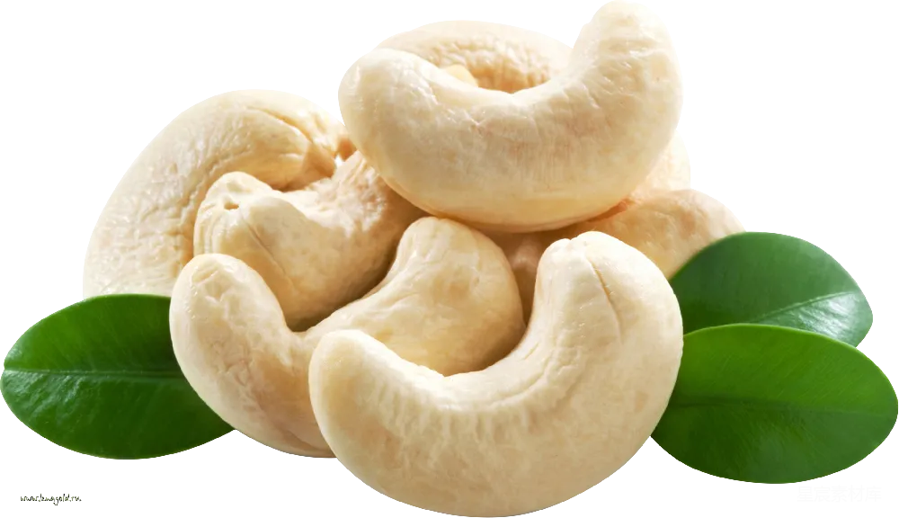 元素素材 元素 薄荷