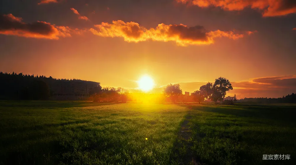 高清摄影 夕阳西下，一片草场。