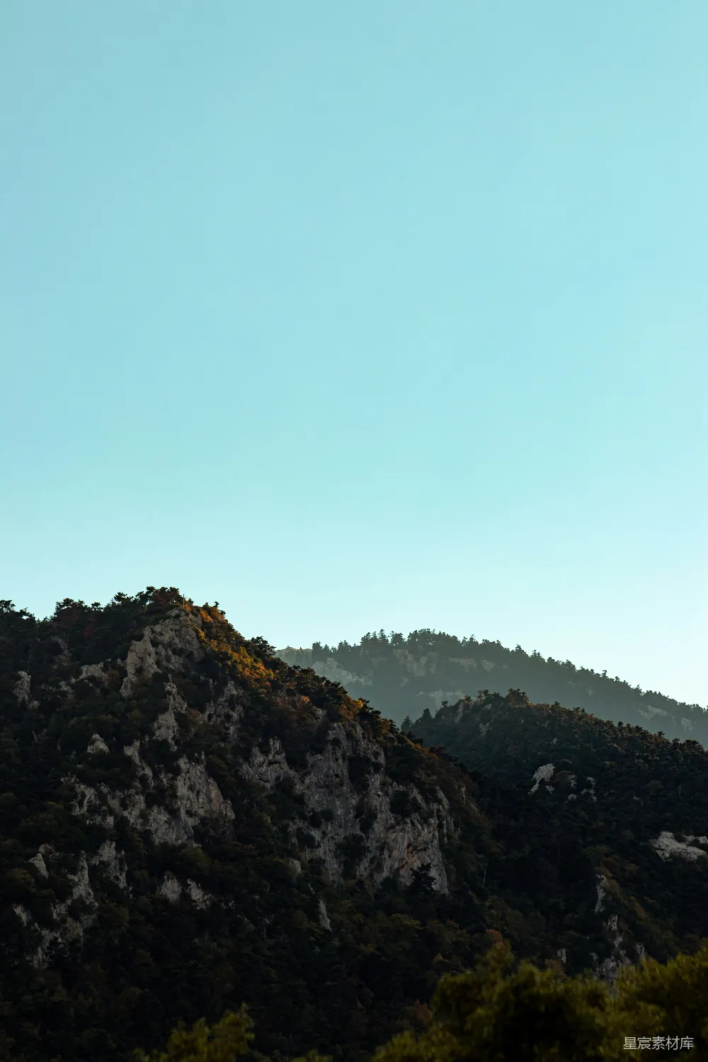 高清摄影 自然 壁纸 有树的山丘或山峰
