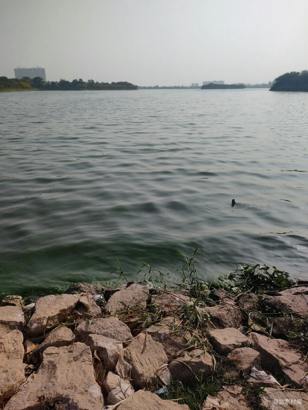 高清摄影  围绕着岩石和草地的一片水域