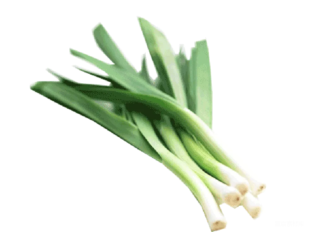 元素素材 葱