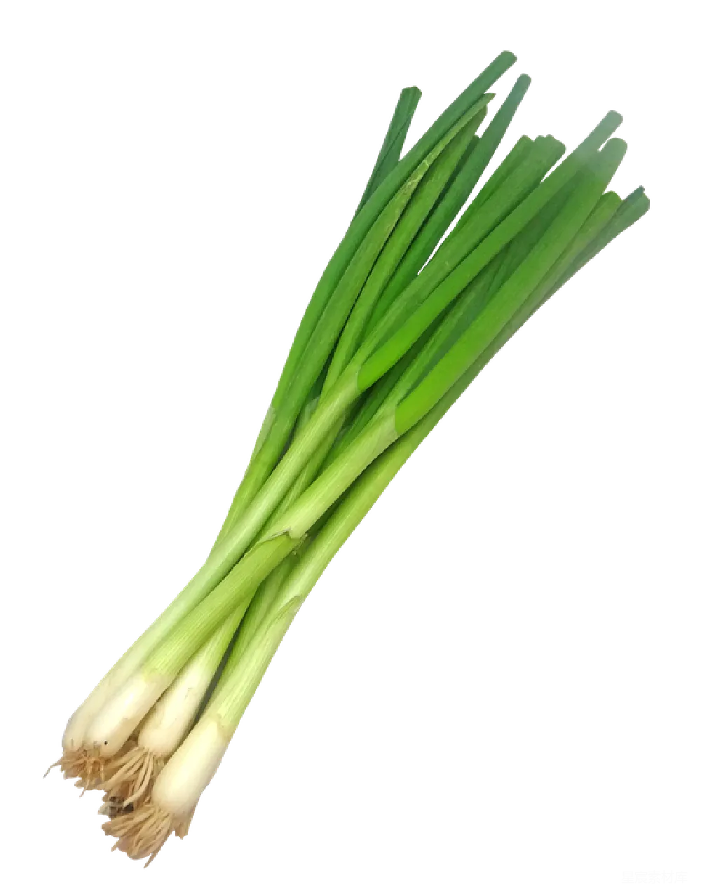 元素素材 蔬菜 绿色 食材 新鲜的葱