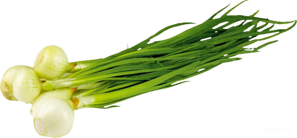 元素素材 蔬菜 自然 烹饪 新鲜洋葱