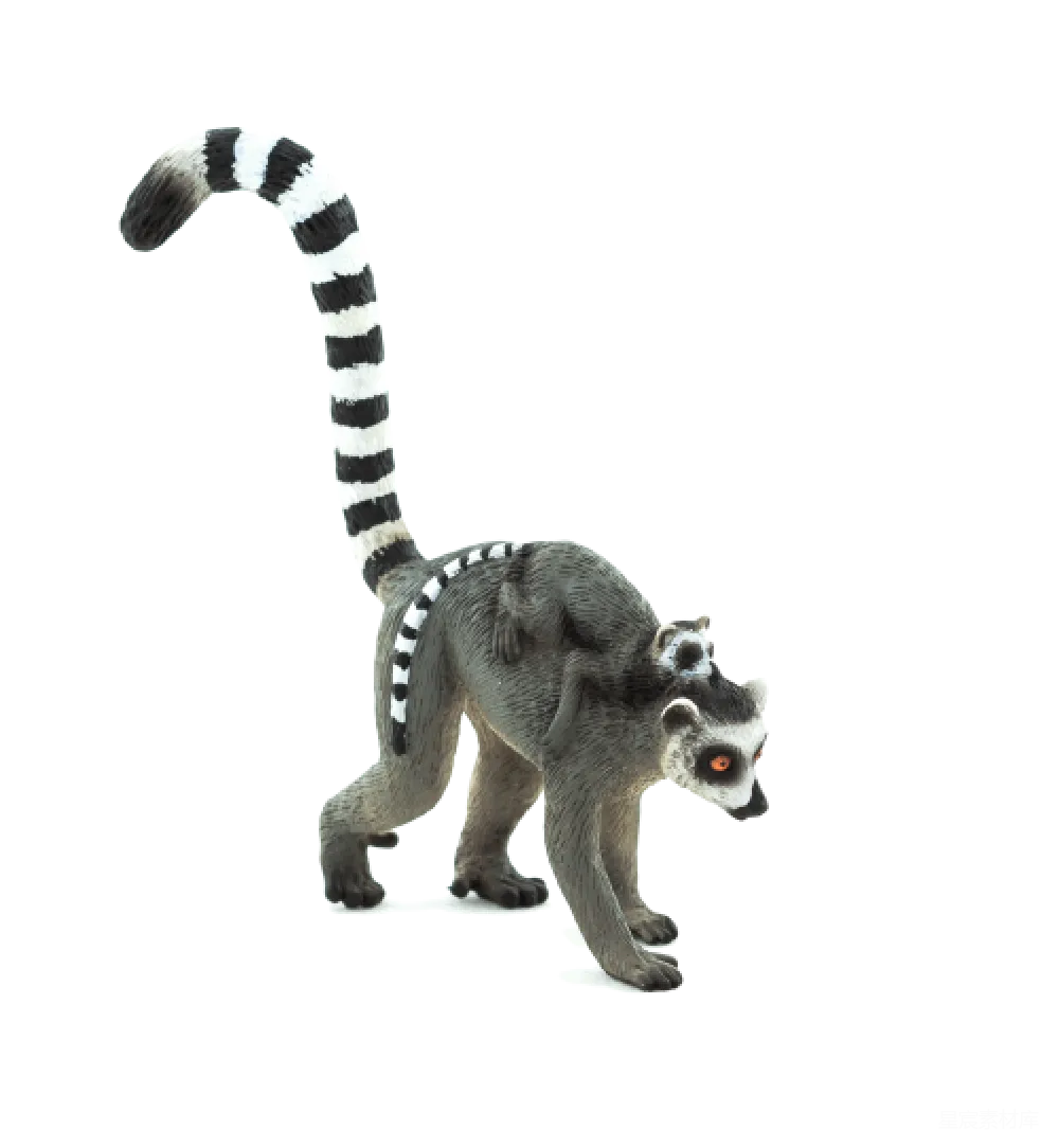 元素素材 元素 狐猴