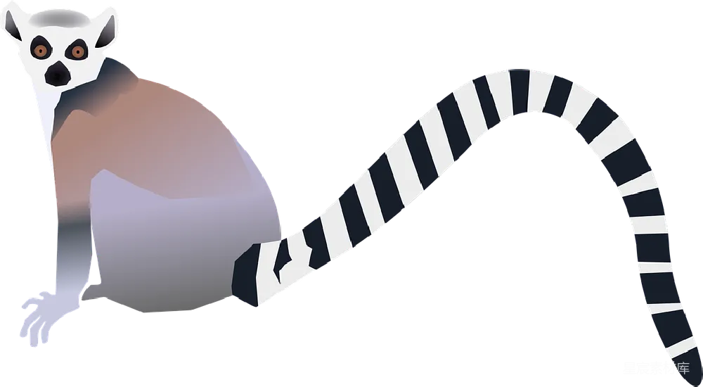 元素素材 Lemur