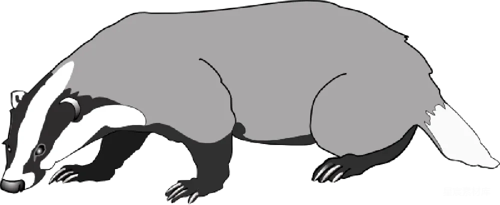 元素素材 元素 獾