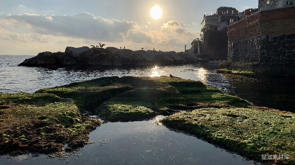 高清摄影  围绕着岩石和草地的水域