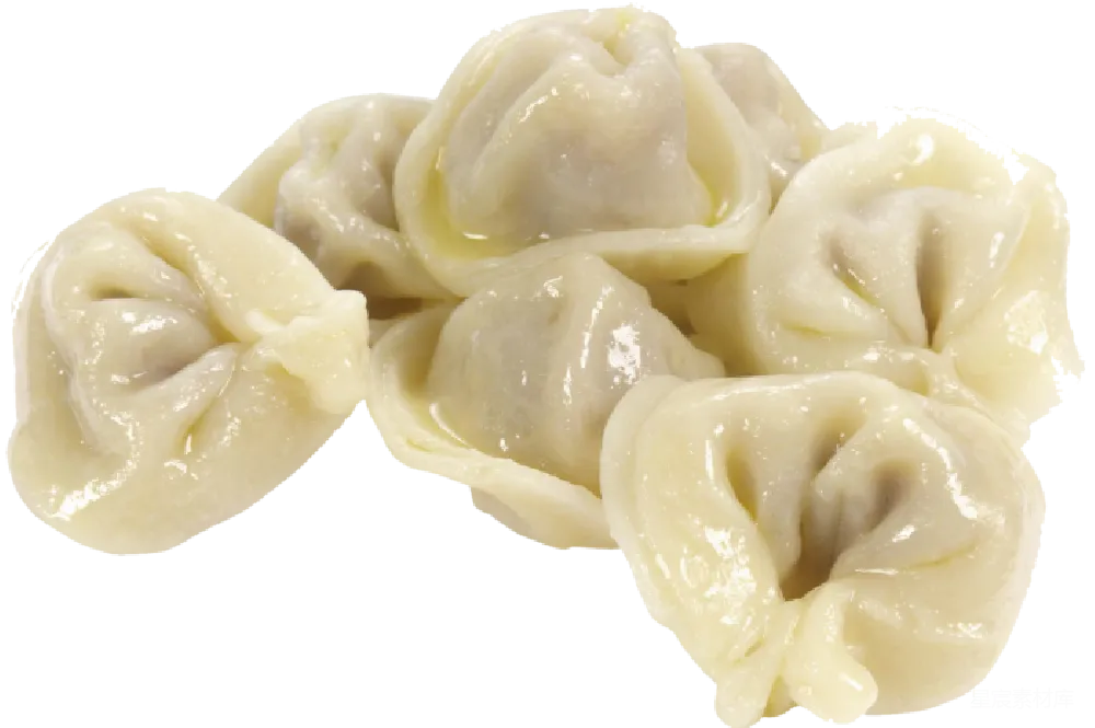 元素素材 手制饺子特写