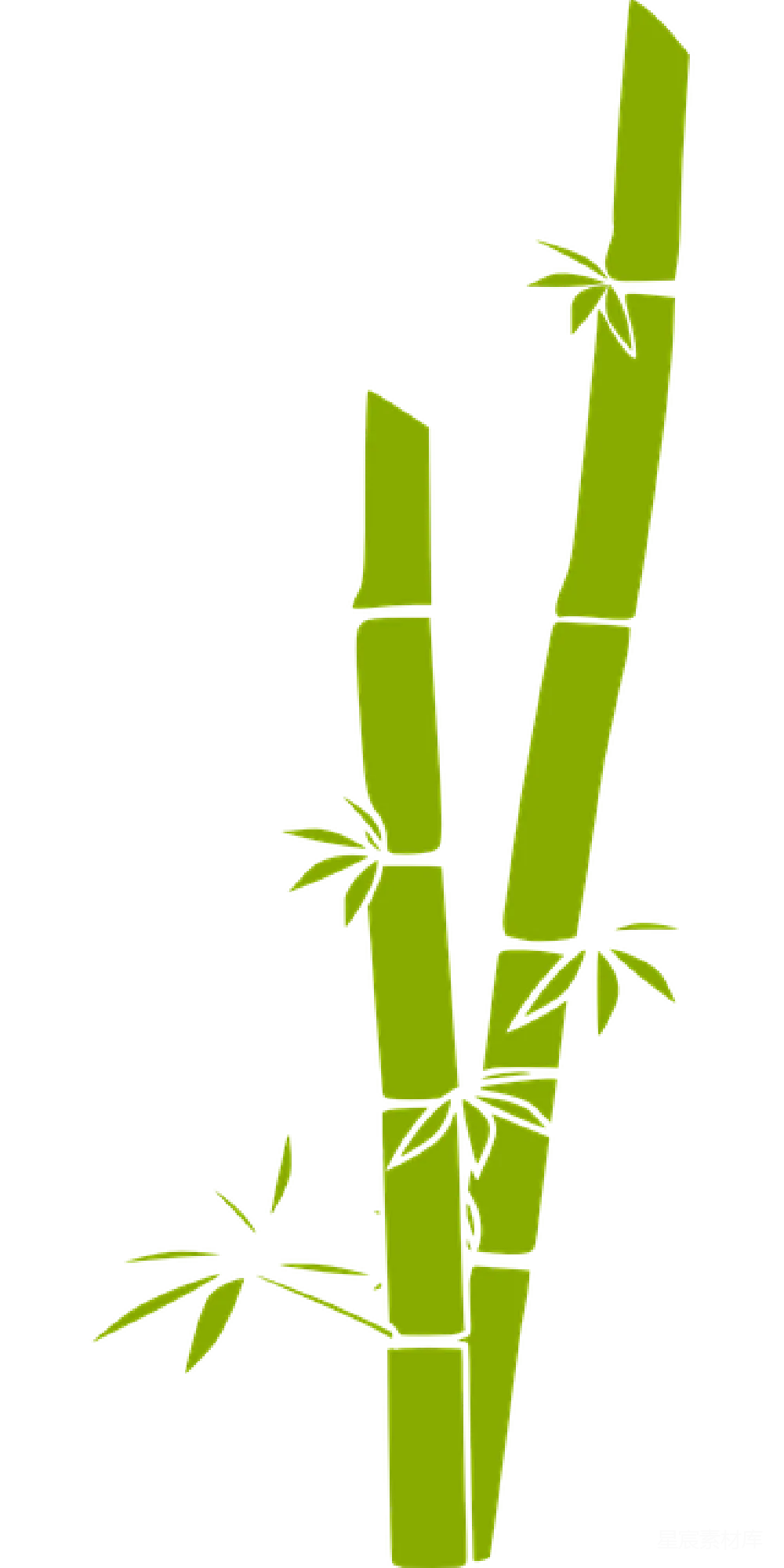 元素素材 绿色竹子插画