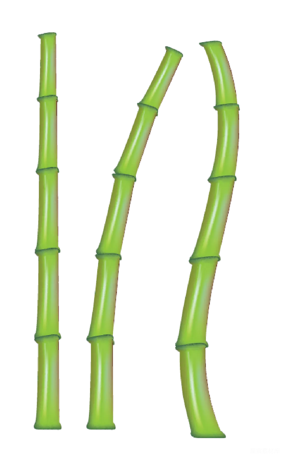 元素素材 竹子
